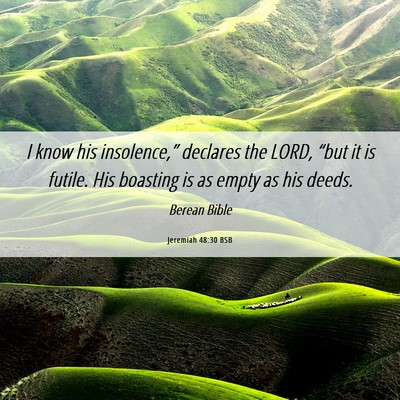 Picture 06 - Jeremiah 48:30 BSB - I know his insolence,” declares the LORD, - Bible Verse Picture