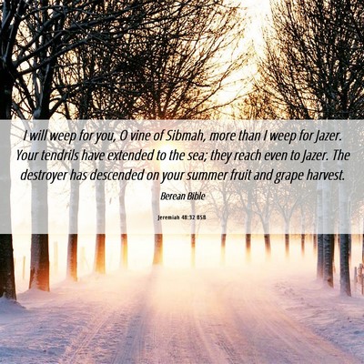 Picture 06 - Jeremiah 48:32 BSB - I will weep for you, O vine of Sibmah, more than - Bible Verse Picture