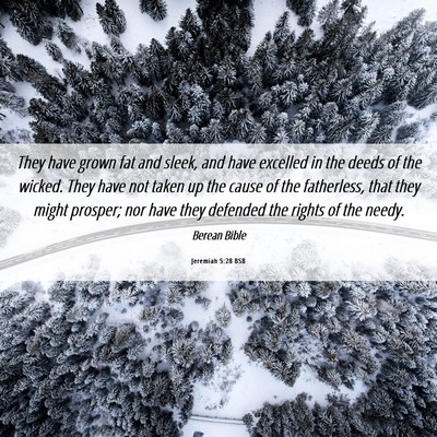Picture 06 - Jeremiah 5:28 BSB - They have grown fat and sleek, and have excelled - Bible Verse Picture