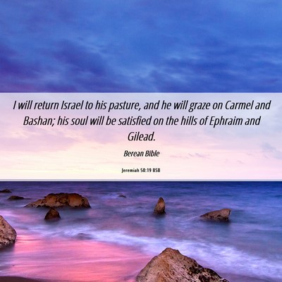 Picture 06 - Jeremiah 50:19 BSB - I will return Israel to his pasture, and he will - Bible Verse Picture