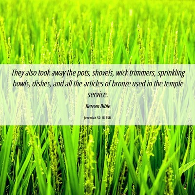 Picture 06 - Jeremiah 52:18 BSB - They also took away the pots, shovels, wick - Bible Verse Picture