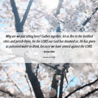 Picture 06 - Jeremiah 8:14 BSB - Why are we just sitting here? Gather together, - Bible Verse Picture
