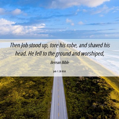 Picture 06 - Job 1:20 BSB - Then Job stood up, tore his robe, and shaved his - Bible Verse Picture