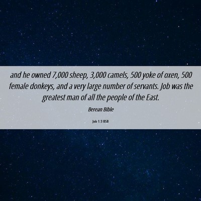 Picture 06 - Job 1:3 BSB - and he owned 7,000 sheep, 3,000 camels, 500 yoke - Bible Verse Picture
