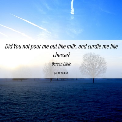 Picture 06 - Job 10:10 BSB - Did You not pour me out like milk, and curdle me - Bible Verse Picture