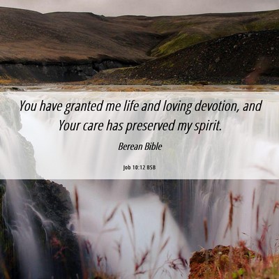 Picture 06 - Job 10:12 BSB - You have granted me life and loving devotion, and - Bible Verse Picture