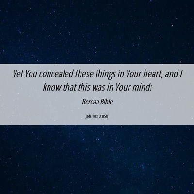 Picture 06 - Job 10:13 BSB - Yet You concealed these things in Your heart, and - Bible Verse Picture