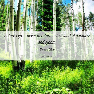 Picture 06 - Job 10:21 BSB - before I go—never to return—to a land of - Bible Verse Picture