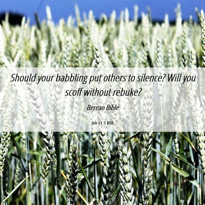 Picture 06 - Job 11:3 BSB - Should your babbling put others to silence? Will - Bible Verse Picture