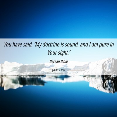 Picture 06 - Job 11:4 BSB - You have said, ‘My doctrine is sound, and I am - Bible Verse Picture