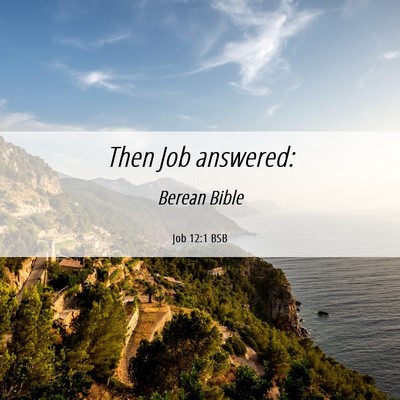 Picture 06 - Job 12:1 BSB - Then Job - Bible Verse Picture