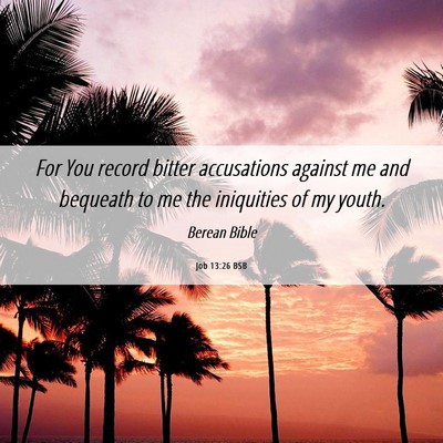 Picture 06 - Job 13:26 BSB - For You record bitter accusations against me and - Bible Verse Picture