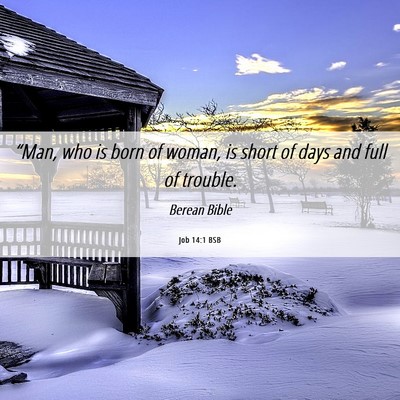 Picture 06 - Job 14:1 BSB - “Man, who is born of woman, is short of days - Bible Verse Picture