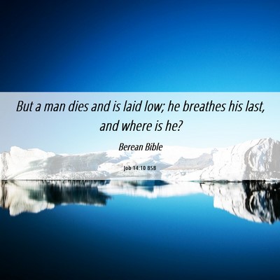 Picture 06 - Job 14:10 BSB - But a man dies and is laid low; he breathes his - Bible Verse Picture