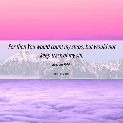 Picture 06 - Job 14:16 BSB - For then You would count my steps, but would not - Bible Verse Picture