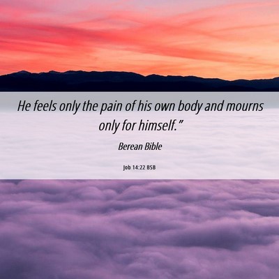 Picture 06 - Job 14:22 BSB - He feels only the pain of his own body and mourns - Bible Verse Picture