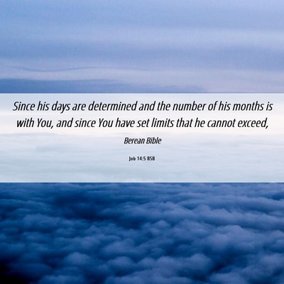 Picture 06 - Job 14:5 BSB - Since his days are determined and the number of - Bible Verse Picture