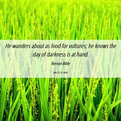 Picture 06 - Job 15:23 BSB - He wanders about as food for vultures; he knows - Bible Verse Picture