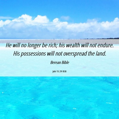 Picture 06 - Job 15:29 BSB - He will no longer be rich; his wealth will not - Bible Verse Picture