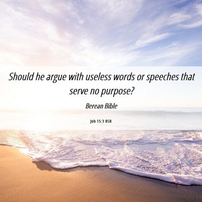 Picture 06 - Job 15:3 BSB - Should he argue with useless words or speeches - Bible Verse Picture