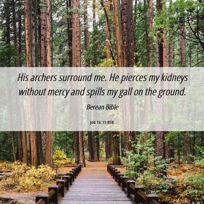 Picture 06 - Job 16:13 BSB - His archers surround me. He pierces my kidneys - Bible Verse Picture