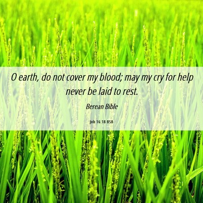 Picture 06 - Job 16:18 BSB - O earth, do not cover my blood; may my cry for - Bible Verse Picture