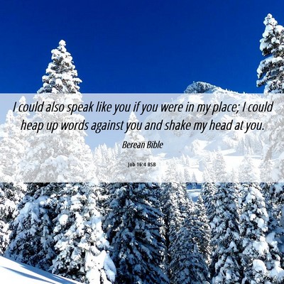 Picture 06 - Job 16:4 BSB - I could also speak like you if you were in my - Bible Verse Picture