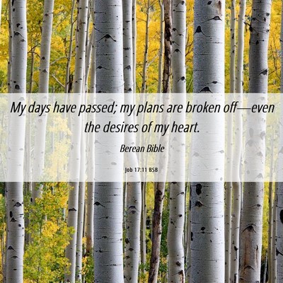 Picture 06 - Job 17:11 BSB - My days have passed; my plans are broken - Bible Verse Picture