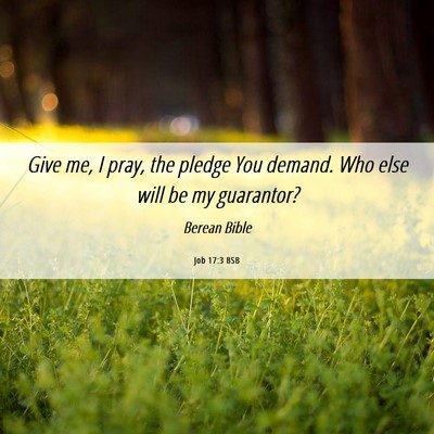 Picture 06 - Job 17:3 BSB - Give me, I pray, the pledge You demand. Who else - Bible Verse Picture