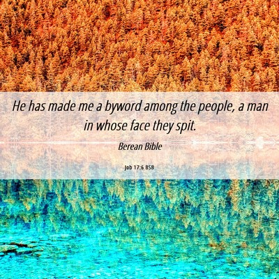Picture 06 - Job 17:6 BSB - He has made me a byword among the people, a man - Bible Verse Picture