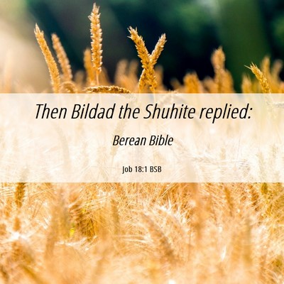 Picture 06 - Job 18:1 BSB - Then Bildad the Shuhite - Bible Verse Picture