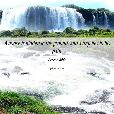 Picture 06 - Job 18:10 BSB - A noose is hidden in the ground, and a trap lies - Bible Verse Picture