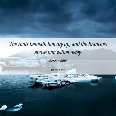 Picture 06 - Job 18:16 BSB - The roots beneath him dry up, and the branches - Bible Verse Picture