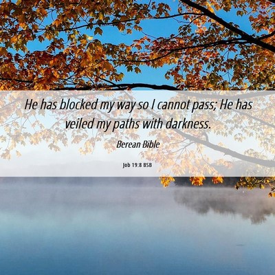 Picture 06 - Job 19:8 BSB - He has blocked my way so I cannot pass; He has - Bible Verse Picture