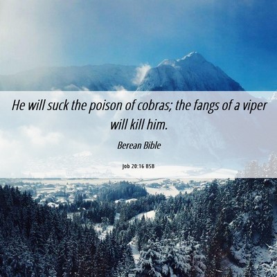 Picture 06 - Job 20:16 BSB - He will suck the poison of cobras; the fangs of a - Bible Verse Picture