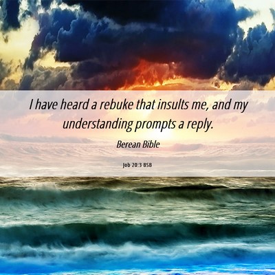 Picture 06 - Job 20:3 BSB - I have heard a rebuke that insults me, and my - Bible Verse Picture