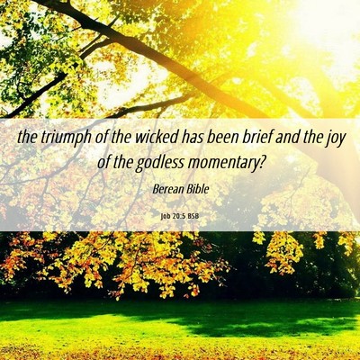 Picture 06 - Job 20:5 BSB - the triumph of the wicked has been brief and the - Bible Verse Picture