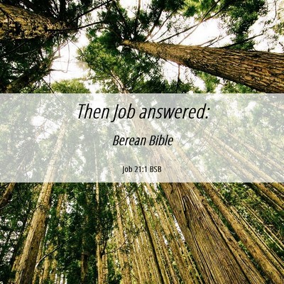 Picture 06 - Job 21:1 BSB - Then Job - Bible Verse Picture
