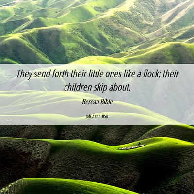 Picture 06 - Job 21:11 BSB - They send forth their little ones like a flock; - Bible Verse Picture