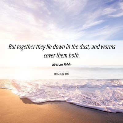 Picture 06 - Job 21:26 BSB - But together they lie down in the dust, and worms - Bible Verse Picture