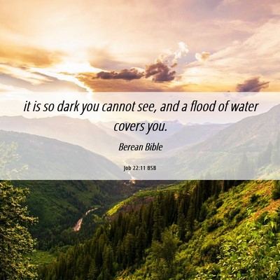 Picture 06 - Job 22:11 BSB - it is so dark you cannot see, and a flood of - Bible Verse Picture