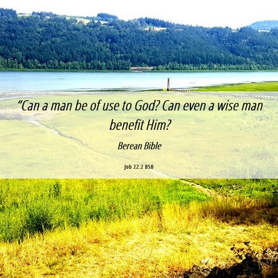 Picture 06 - Job 22:2 BSB - “Can a man be of use to God? Can even a wise - Bible Verse Picture