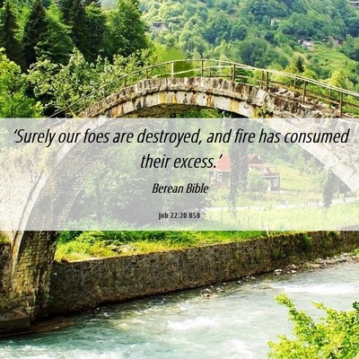 Picture 06 - Job 22:20 BSB - ‘Surely our foes are destroyed, and fire has - Bible Verse Picture