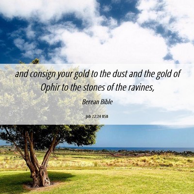 Picture 06 - Job 22:24 BSB - and consign your gold to the dust and the gold of - Bible Verse Picture