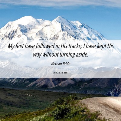 Picture 06 - Job 23:11 BSB - My feet have followed in His tracks; I have kept - Bible Verse Picture