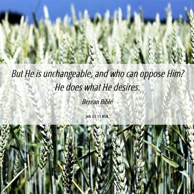 Picture 06 - Job 23:13 BSB - But He is unchangeable, and who can oppose Him? - Bible Verse Picture