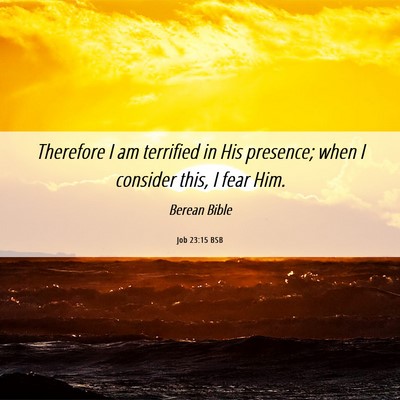 Picture 06 - Job 23:15 BSB - Therefore I am terrified in His presence; when I - Bible Verse Picture