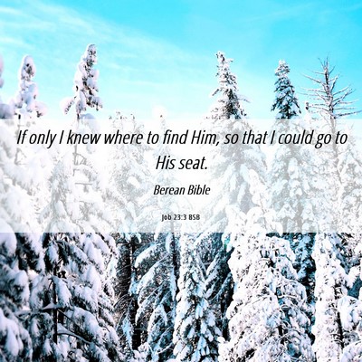 Picture 06 - Job 23:3 BSB - If only I knew where to find Him, so that I could - Bible Verse Picture