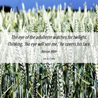 Picture 06 - Job 24:15 BSB - The eye of the adulterer watches for twilight. - Bible Verse Picture
