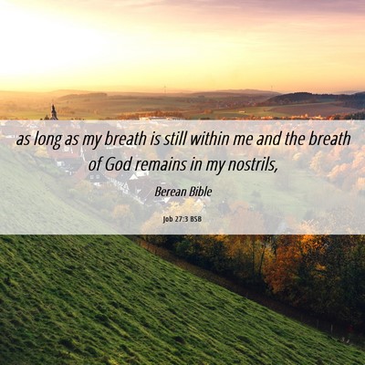 Picture 06 - Job 27:3 BSB - as long as my breath is still within me and the - Bible Verse Picture